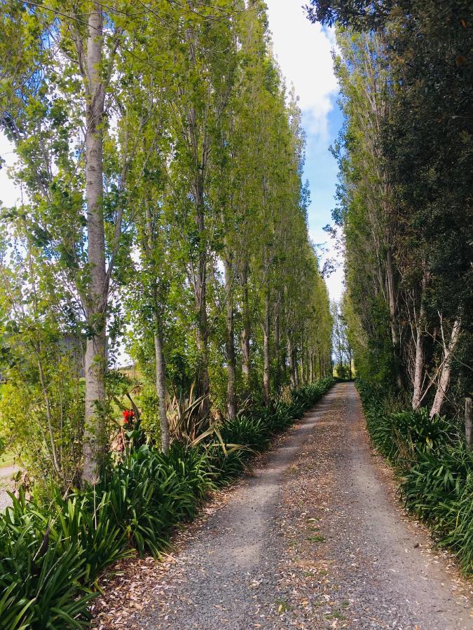 The Camel At Araiawa Raio Lodge Pukenui Exterior photo